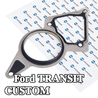 DR.MOTOR AUTOMOTIVE حشية، مضخة تفريغ — 2016 Ford Transit Custom