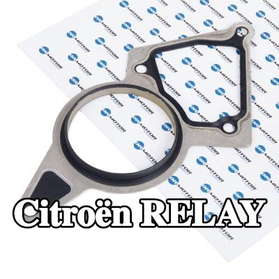 DR.MOTOR AUTOMOTIVE حشية، مضخة تفريغ — Citroën Relay