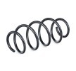 SACHS Helezon yay — Mercedes-Benz Vito (2)