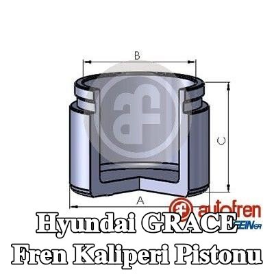 AUTOFREN SEINSA Fren kaliperi pistonu Ön Aks — Hyundai Grace