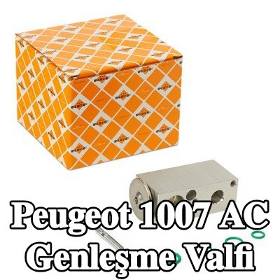NRF Conta/sızdırmazlık elemanlı AC genleşme valfi — Peugeot 1007