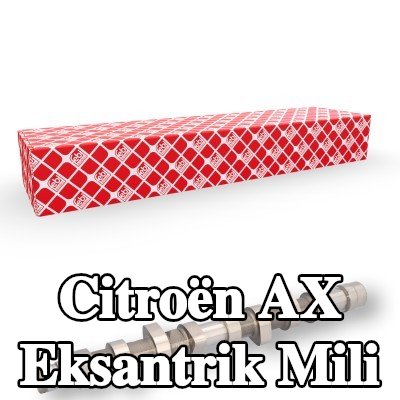 FEBI BILSTEIN Eksantrik Mili — Citroën Ax