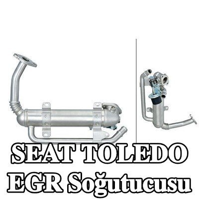 HELLA Contalar/sızdırmazlık elemanları ile EGR soğutucusu, EGR valfi olmadan — 2004 SEAT Toledo
