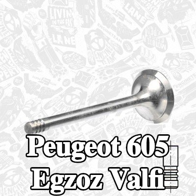 ET ENGINETEAM Egzoz valfi, egzoz tarafı, Krom kaplı valf gövdesi — Peugeot 605