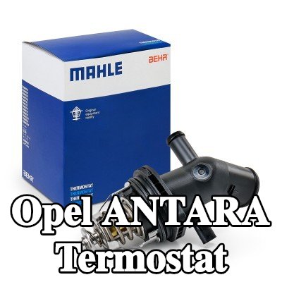 MAHLE Termostat 101°C, contalı/sızdırmaz — Opel Antara