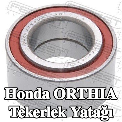 FEBEST Tekerlek yatağı — Honda Orthia