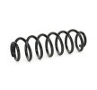 SACHS Helezon yay — Volkswagen Touran (2)
