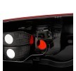 TYC Arka lamba Sol, ampul yuvası olmadan — Citroën Berlingo (5)