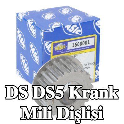 SASIC Krank mili dişlisi — DS Ds5