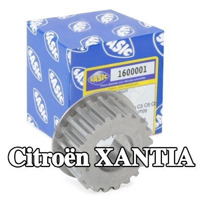 SASIC ترس العمود المرفقي — Citroën Xantia