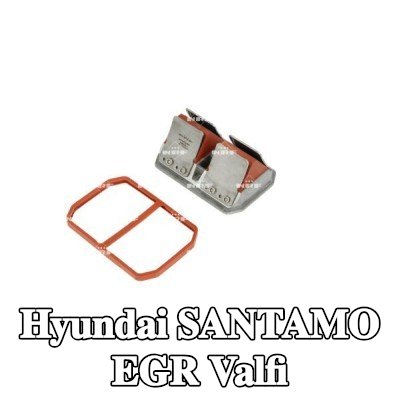 NRF EGR valfi — Hyundai Santamo