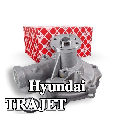 FEBI BILSTEIN مضخة مياه مع حشيات/أختام — Hyundai Trajet
