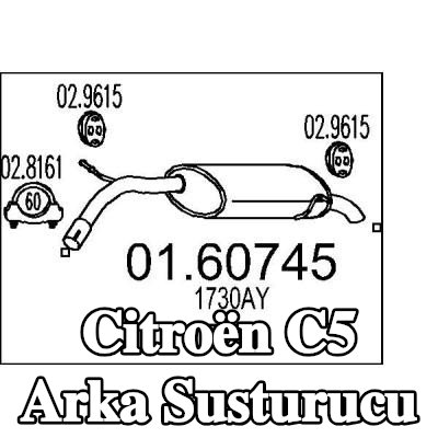 MTS Arka susturucu 970mm — Citroën C5