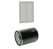 RIDEX PLUS Filtre kiti — 2000 Honda Civic (3)