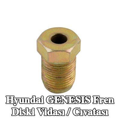Connect Fren diski vidası / cıvatası — Hyundai Genesis