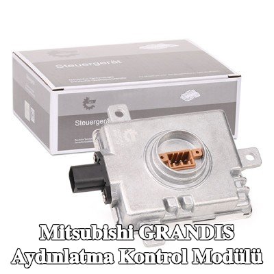 ESEN SKV Aydınlatma kontrol modülü — 2005 Mitsubishi Grandis
