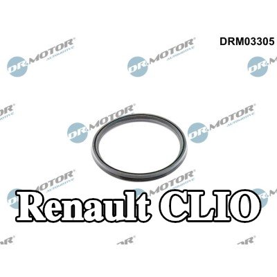 DR.MOTOR AUTOMOTIVE حشية، خرطوم هواء التوربو — Renault Clio