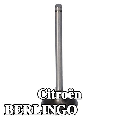 FEBI BILSTEIN صمام السحب — 2000 Citroën Berlingo