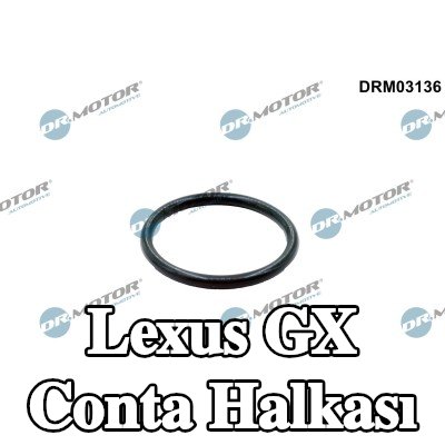 DR.MOTOR AUTOMOTIVE Conta halkası — Lexus Gx