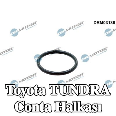 DR.MOTOR AUTOMOTIVE Conta halkası — Toyota Tundra