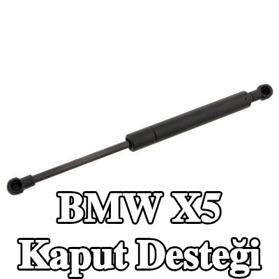FEBI BILSTEIN Kaput destek çubuğu her iki taraf — 2002 BMW X5