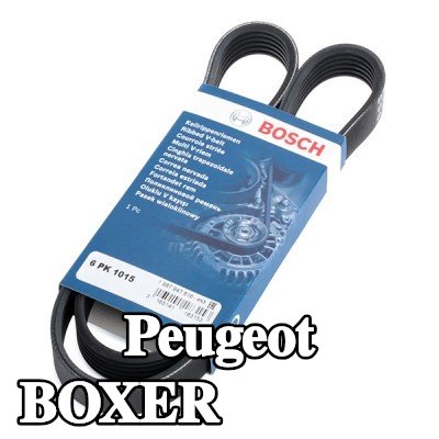 BOSCH حزام سيربنتين 1015mm, Number of ribs: 6 — 2000 Peugeot Boxer