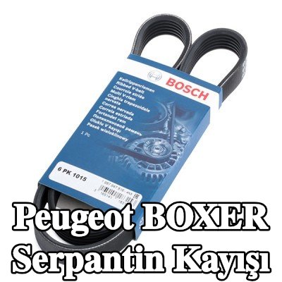 BOSCH Serpantin kayışı 1015mm, Number of ribs: 6 — 2000 Peugeot Boxer