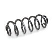 SACHS Helezon yay — Audi A4 (2)