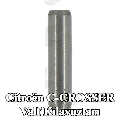 AE Valf Kılavuzları — Citroën C-crosser