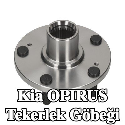 FEBI BILSTEIN Tekerlek göbeği ön aks sol, Ön Aks Sağ, tekerlek yatağı olmadan — Kia Opirus