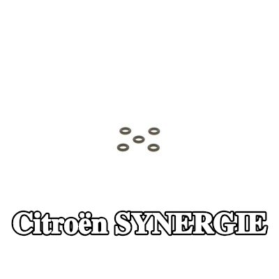 BOSCH حشية حاقن الوقود — Citroën Synergie