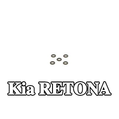 BOSCH حشية حاقن الوقود — Kia Retona