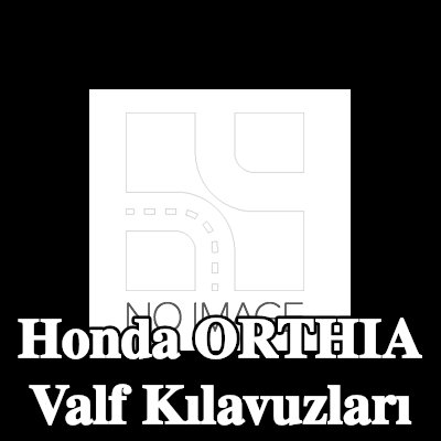 TRW Engine Component Valf Kılavuzları — Honda Orthia