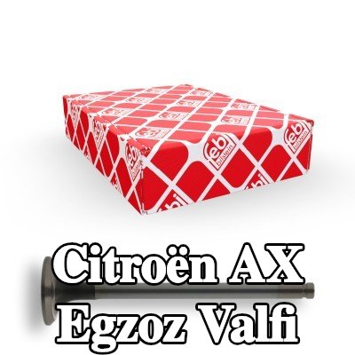 FEBI BILSTEIN Egzoz valfi — 1995 Citroën Ax