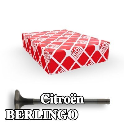 FEBI BILSTEIN صمام العادم — 1997 Citroën Berlingo