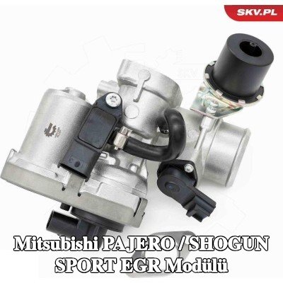 ESEN SKV EGR Modülü kendiliğinden kapanan — Mitsubishi Pajero / Shogun Sport