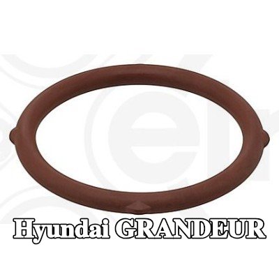ELRING حشية غطاء التوقيت — Hyundai Grandeur