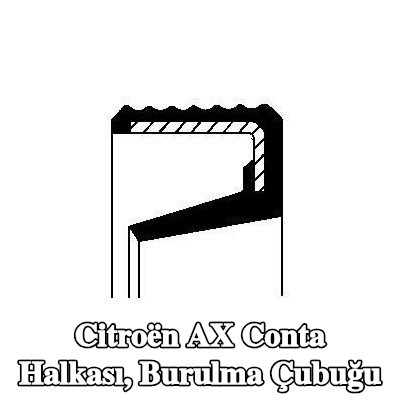 CORTECO Conta Halkası, burulma çubuğu — Citroën Ax