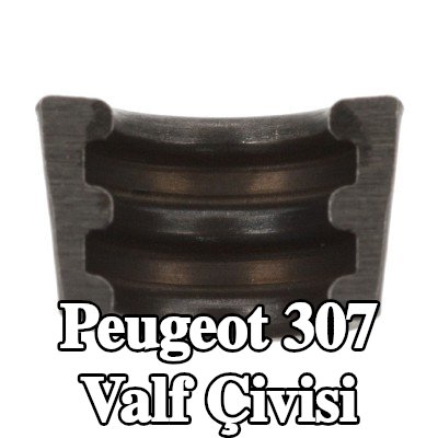 FEBI BILSTEIN Valf Çivisi — 2002 Peugeot 307