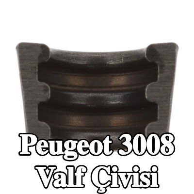 FEBI BILSTEIN Valf Çivisi — Peugeot 3008