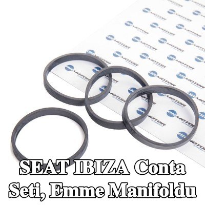 DR.MOTOR AUTOMOTIVE Conta Seti, emme manifoldu — SEAT Ibiza