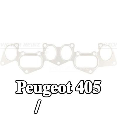 REINZ حشية، مشعب السحب/العادم — Peugeot 405