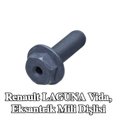 RENAULT Vida, eksantrik mili dişlisi — Renault Laguna