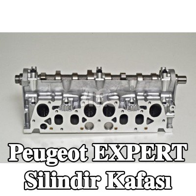 AMC Eksantrik mil(ler)i ile silindir kafası, valf kılavuzlu, valf yuvaları ve ön odacıklar, valf yayları ile, valfli — 2000 Peugeot Expert
