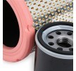 RIDEX Filtre kiti — 2000 Renault Clio (5)
