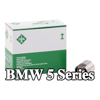 INA المكبس، مضخة الضغط العالي — 2008 BMW 5 Series