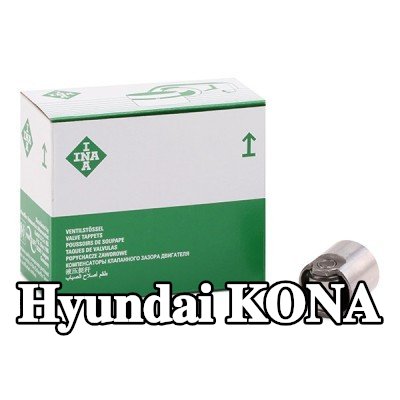 INA المكبس، مضخة الضغط العالي — Hyundai Kona