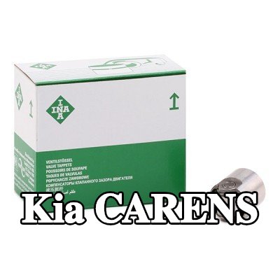 INA المكبس، مضخة الضغط العالي — Kia Carens