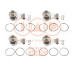 IAP QUALITY PARTS Piston segmanlı piston — Nissan Nt400 (2)