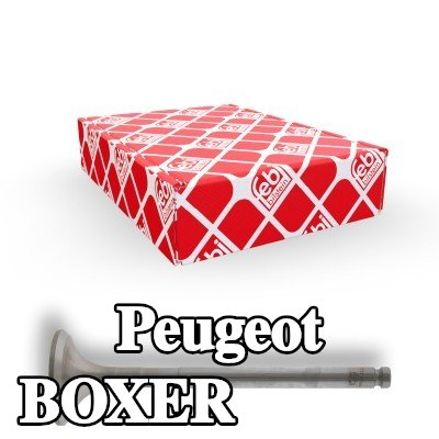 FEBI BILSTEIN صمام العادم — 2000 Peugeot Boxer